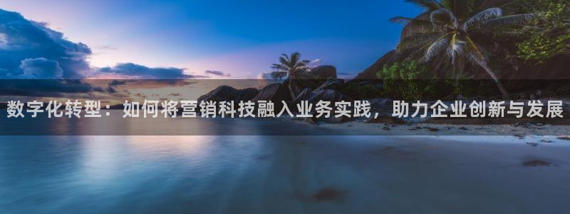 金年会官方入口app