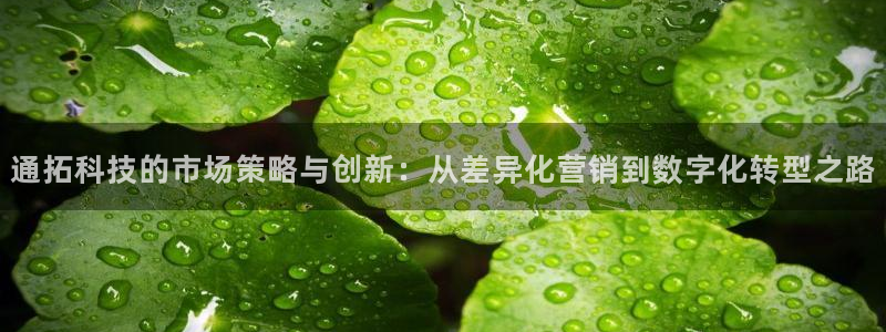 金年会体育app下载官网苹果