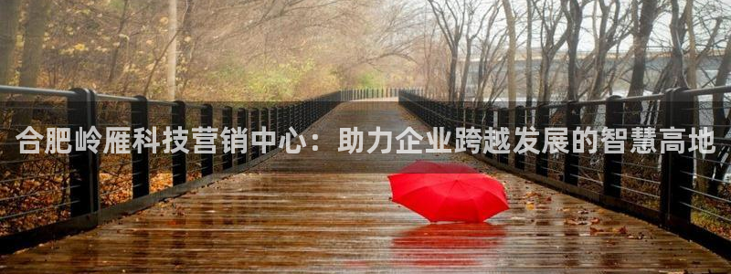 金年会体育app最新官网下载安装