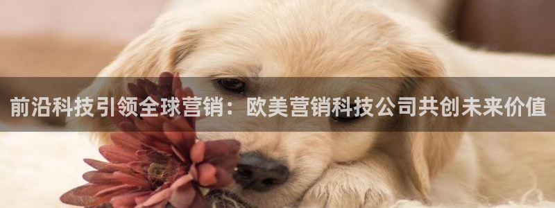 金年会网址导航