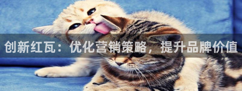 金年会体育查处
