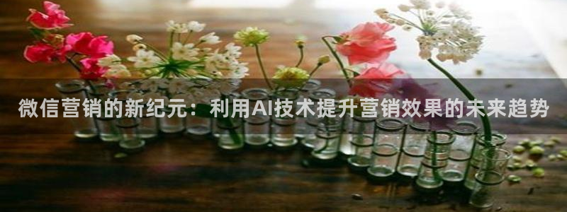 金年会网站怎么样