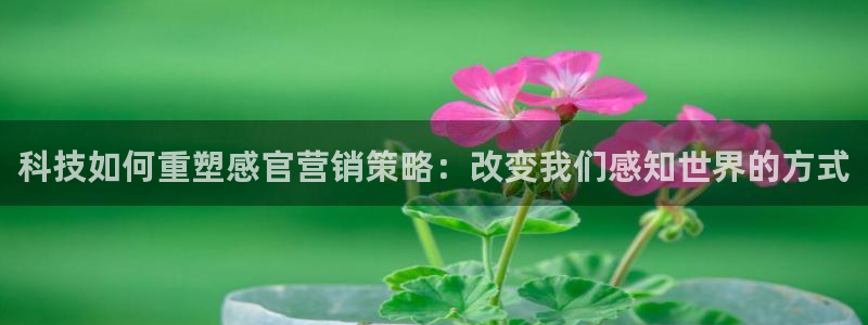 金年会网站可靠吗