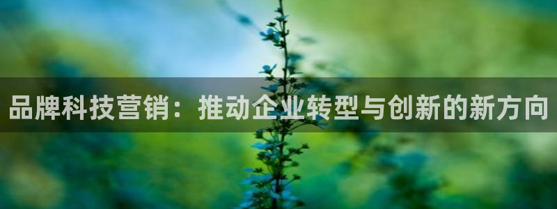 金年会体育app下载官网安卓手机