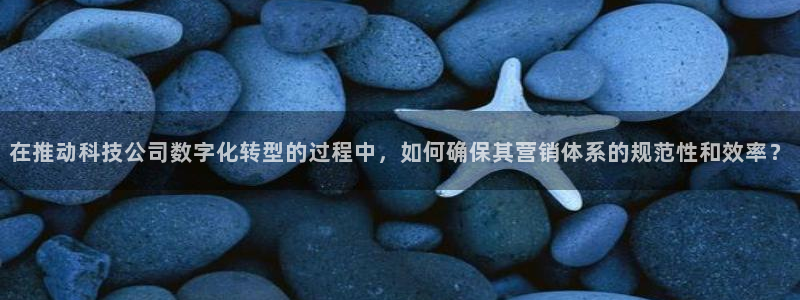 金年会体育如何