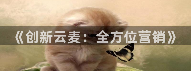 金年会app官方网站