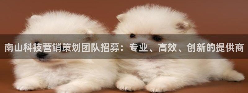 金年会金字招牌是什么意思