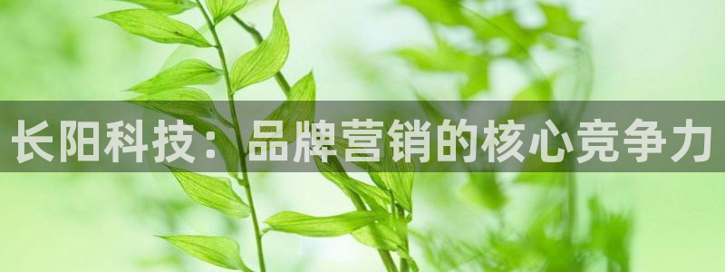金年会手机版下载
