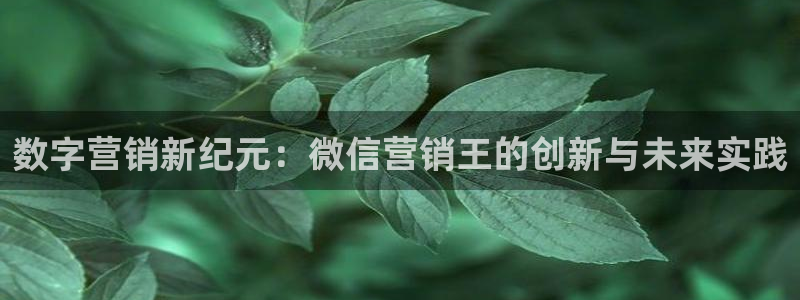 金年会赌博是诈骗：数