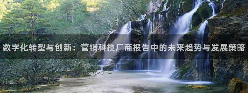 金年会体育app入口在哪