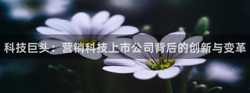 金年会体育平台新地址