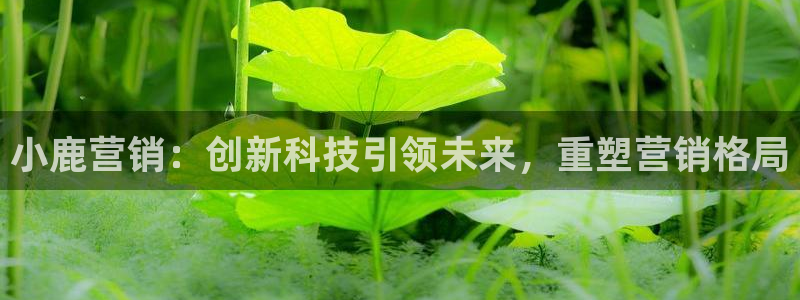 金年会官方app下载