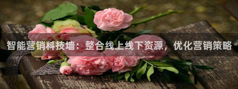 金年会体育在线登录