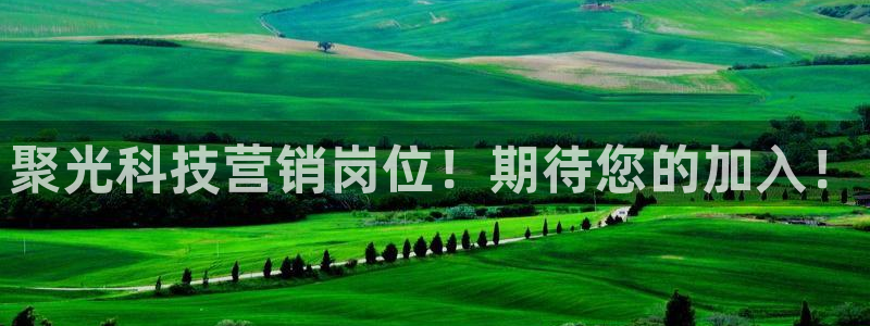 金年会app登录官网入口