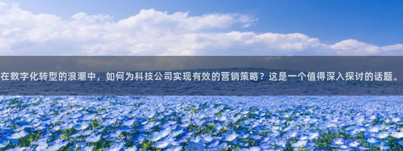 金年会网登录平台入口金年会