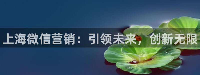 金年会体育注册地