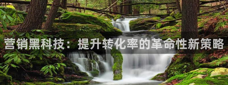 金年会是什么平台