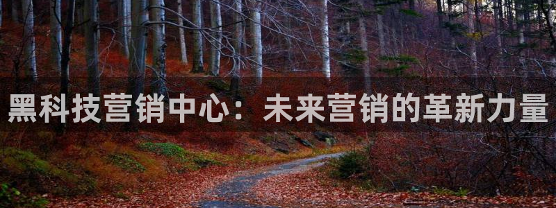金年会金字招牌入口