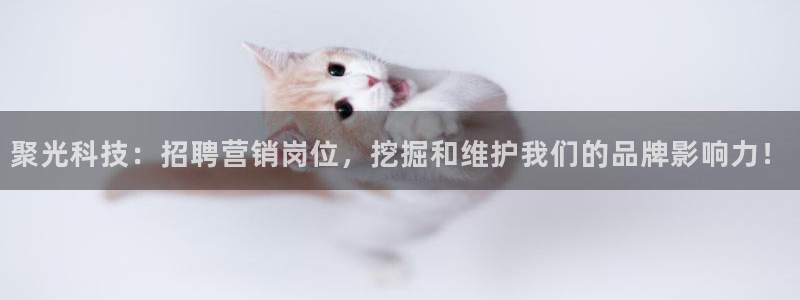 金年会网站下载