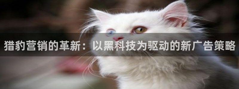 金年会体育app平台怎么样可靠吗