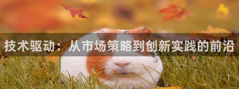 金年会官方网站入口网址