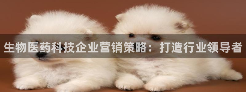 金年会体育平台是真的吗