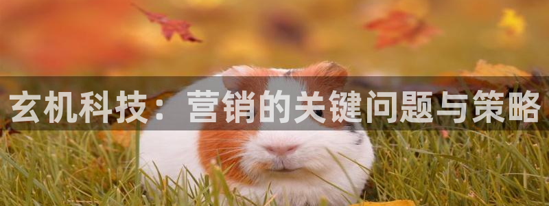 金年会官方登录网址