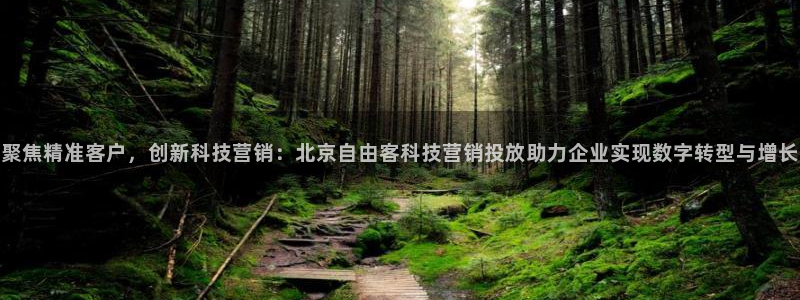 金年会是什么平台