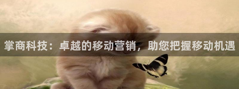 金年会体育电脑客户端登录