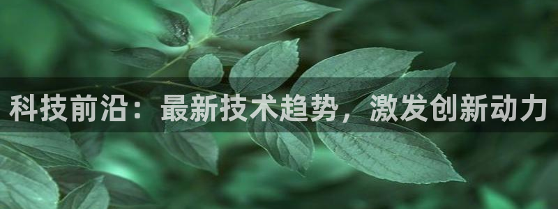 金年会官方在线入口网站下载