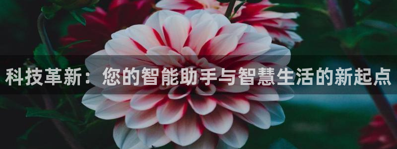 金年会官方网站入口登录手机版下载