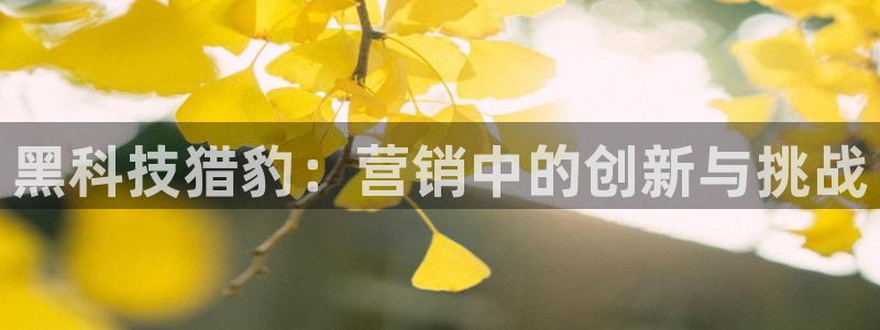 金年会官方娱乐app下载安卓